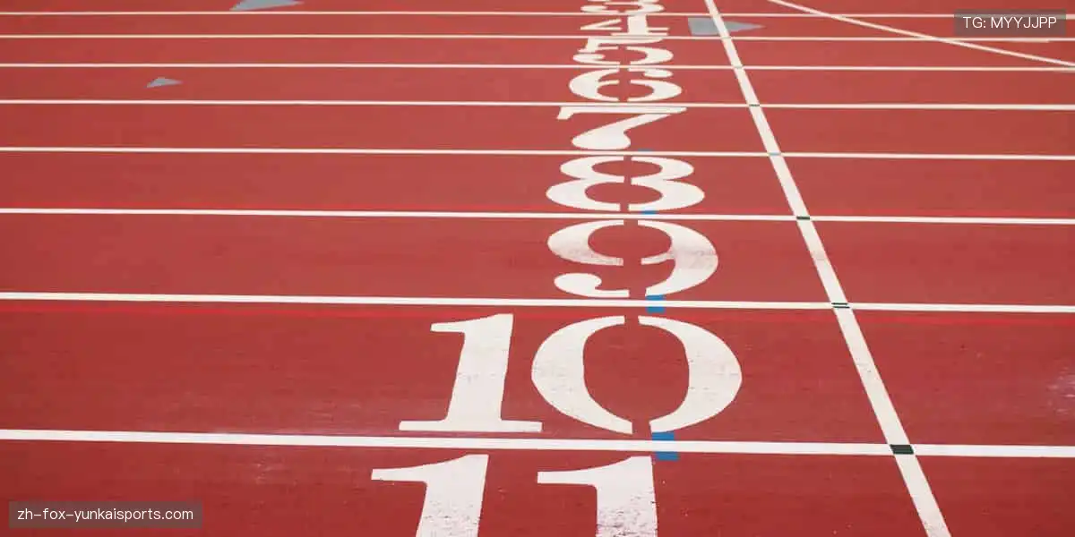 🎯 从装备到潮流，体育周边商城，做你的运动全能搭档！